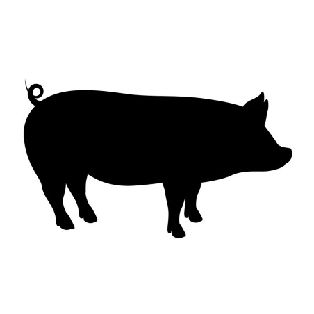 Cochon