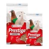 Prestige Doves pigeon et tourterelle VERSELE LAGA