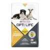 Opti Life Puppy Medium au poulet chiot moyen VERSELE LAGA