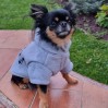 Sweat sport gris avec capuche pour chien DOOGY SPORT