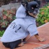 Sweat sport gris avec capuche pour chien DOOGY SPORT