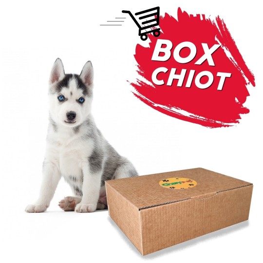 CheryBox ULTRA PREMIUM pour chien