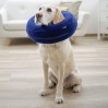 Collerette de convalescence gonflable pour chien KERBL