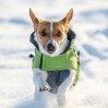 Manteau épais pour chien Vancouver KERBL