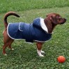 Manteau coupe-vent pour chien Teddy KERBL