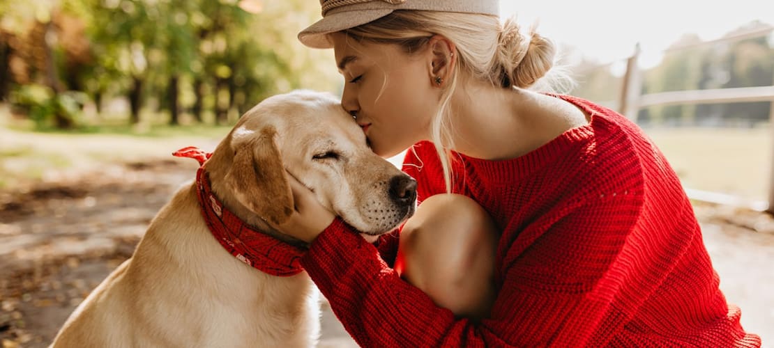 L'amour des animaux